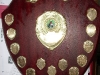 dsci0103